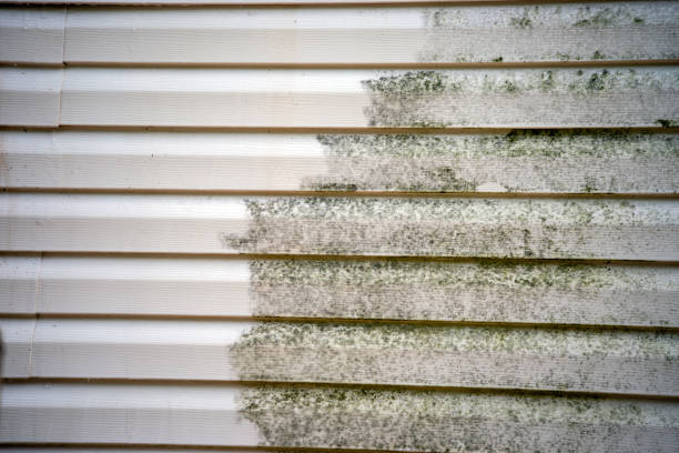 Best Attic Cleanout  in Missouri Valley, IA